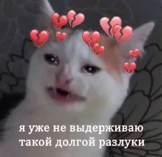 🌟