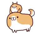 🐶