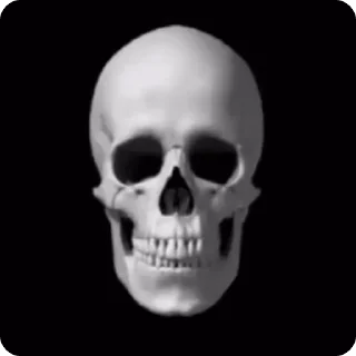 💀