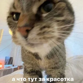 😍