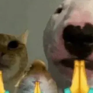 🙏