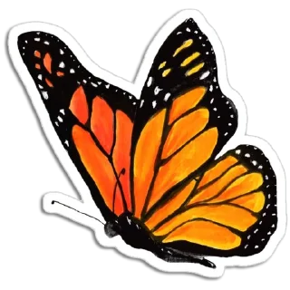 🦋