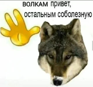 🤩