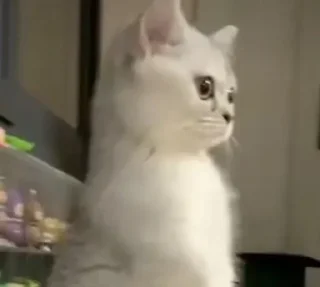 😳