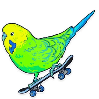🛹