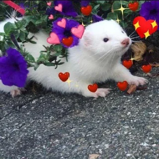 😍