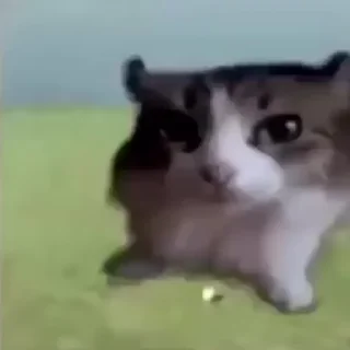 💀