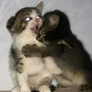 😡