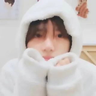 🐻
