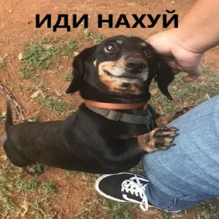 😺