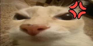😠