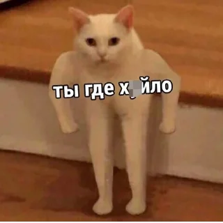 👹