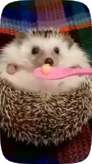 🤭