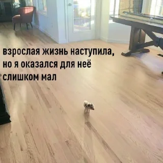 😞