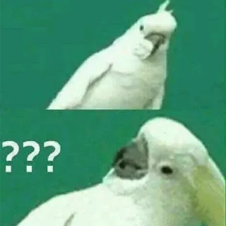 🤔