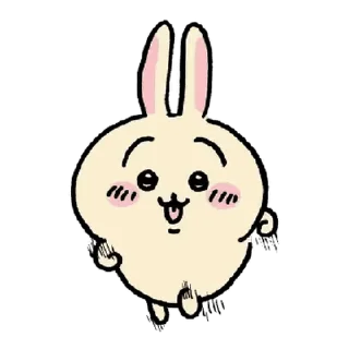🐰