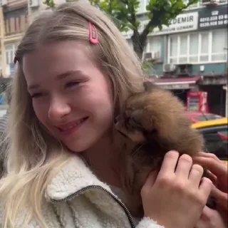 🐶