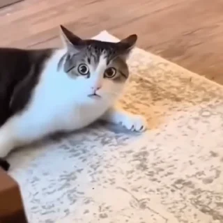 😧