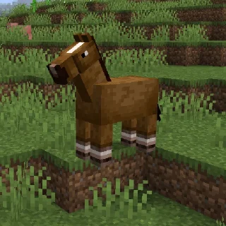 🐎