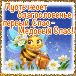 🍯