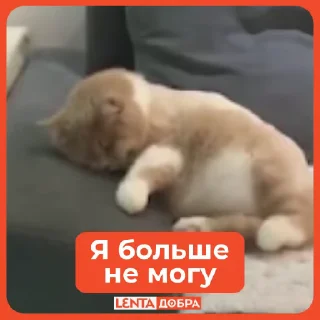😖