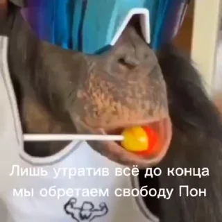 💫