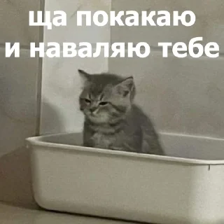 🫵