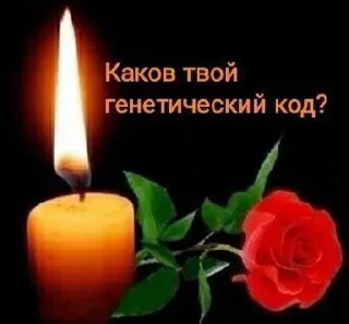 🕯️