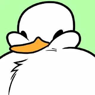 🐥