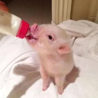 🥰