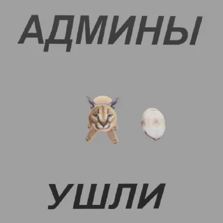 😅