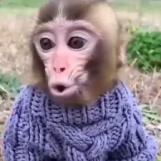 😮