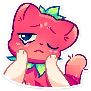 😾