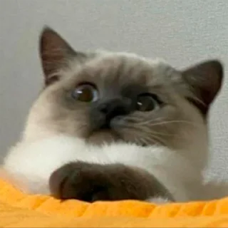 😳