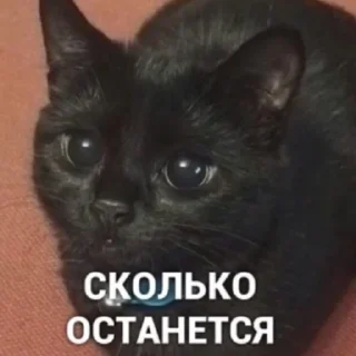🥲