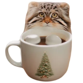 ☕️