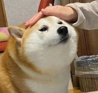 💓
