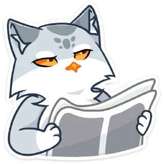 🗞
