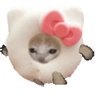 🐈