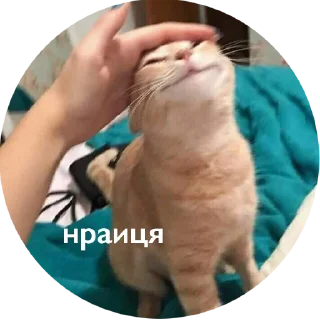 👍