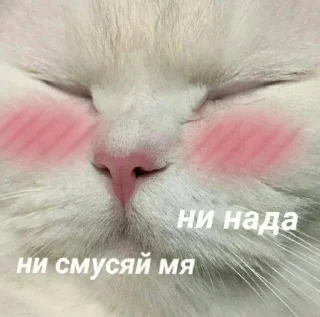 ☺️
