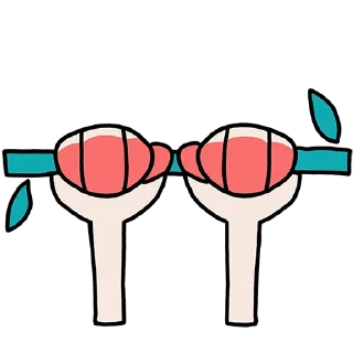 💪