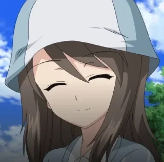 🇫🇮