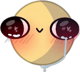 🌟