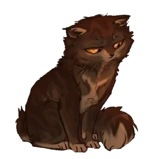 🐱