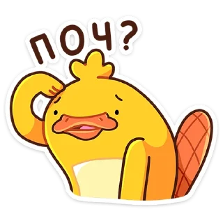 ❓