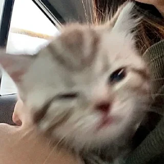 🥺