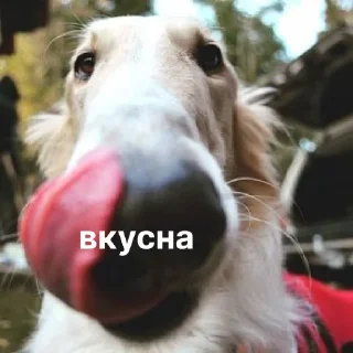 ☺️