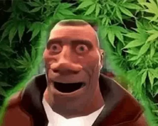 🌿