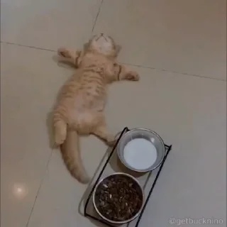 😴